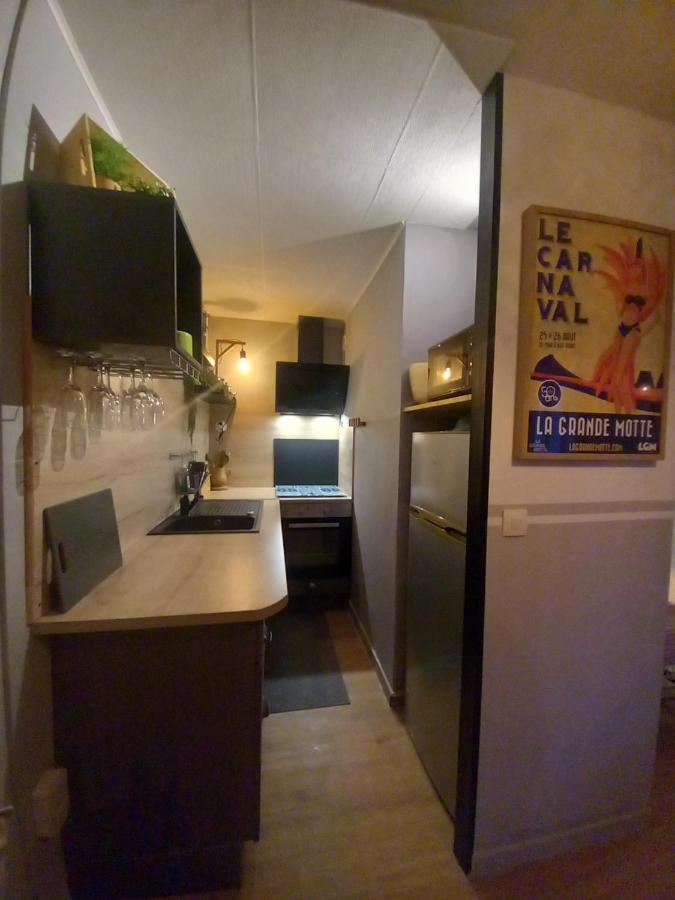 Rose Cote Mer Studio Et Garage, Entree Autonome Appartement La Grande-Motte Buitenkant foto